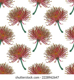 Seamless pattern of eucalyptus branches isolated on white background.