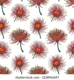 Seamless pattern of eucalyptus branches isolated on white background.