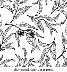 Seamless pattern of eucalyptus branches on white background. Hand drawn vector illustration with contour lines. Monochrome floral print fot textile and wallpaper.