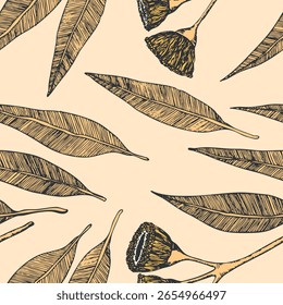 Patrón sin fisuras con eucalipto. Vector tropical exótico dibujado a mano ilustración. Fondo decorativo con hojas y flores esponjosas de eucalipto. Composiciones modernas para Fondo de pantalla, tela, textil.