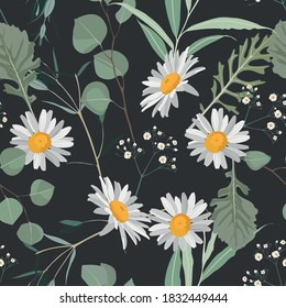 Seamless pattern of Eucalyptus  fern herbs and daisy flowers, foliage natural branches seamless pattern on dark background.