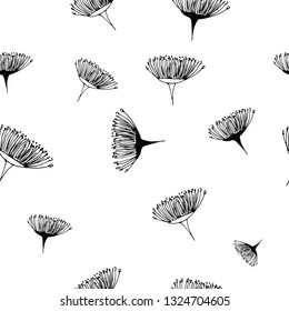 Seamless pattern of eucalyptus flowers. Vector illustration.