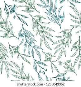 Seamless pattern with eucalyptus flowers.Vector eucalyptus hand drawn illustration.Healing and cosmetics herb.Medical plant.Great design for natural and organic products.