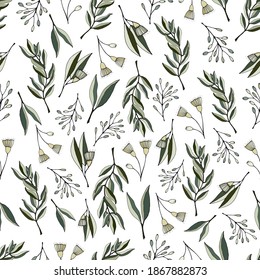 Seamless pattern with eucalyptus leaves and flowers. Eucalyptus branch hand drawn botanical illustration. Eucalyptus leaves and flowers on a white background.Set of leaves and flowers of eucaliptus.