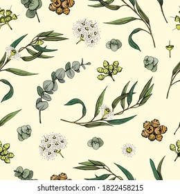 Seamless Pattern with Eucalyptus leaves, young shoots and branches of eucalyptus with flowers, buds and seeds . Detailed hand-drawn sketches, vector botanical illustration.  For textile