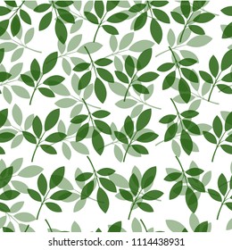 Seamless pattern of Eucalyptus palm fern different tree, foliage natural branches, green leaves, herbs, tropical plant hand drawn watercolor Vector fresh beauty rustic eco friendly background on white