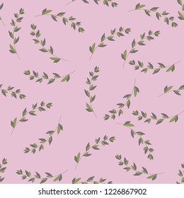 Seamless pattern of Eucalyptus palm fern different tree, foliage natural branches, green leaves, herbs, tropical plant hand drawn Vector fresh beauty rustic eco friendly background on white