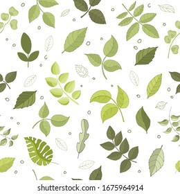 Seamless pattern of eucalyptus palm fern other tree, foliage natural branches, green leaves, herbs, tropical plants hand drawn. Vector fresh beauty rustic eco friendly background on white.Illustration