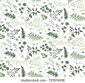 Seamless pattern of Eucalyptus palm fern different tree, foliage natural branches, green leaves, herbs, berries tropical heel hand drawn silhouette watercolor Vector beauty elegant background on white