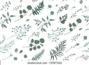 Seamless pattern of Eucalyptus palm fern different tree, foliage natural branches, green leaves, herbs, berries tropical heel hand drawn silhouette watercolor Vector beauty elegant background on white
