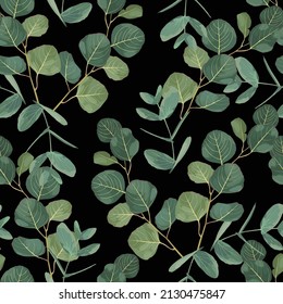 Seamless pattern with Eucalyptus Silver Dollar on a black background. Illustration of greenery, foliage and natural leaves. Template for floral textile design.