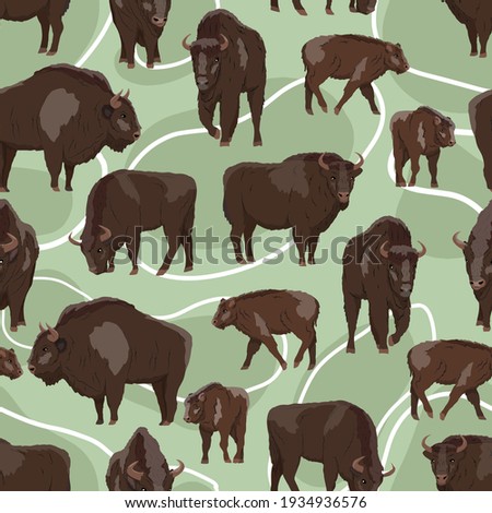 Seamless pattern. European bison Bison bonasus Males, females and calves European wood bison. The wisent or the zubr. Realistic vector wild animals of Europe. Bialowieza Forest.