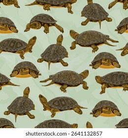 Seamless pattern with European pond turtle Emys orbicularis. European pond terrapin or European pond tortoise. Realistic vector reptile