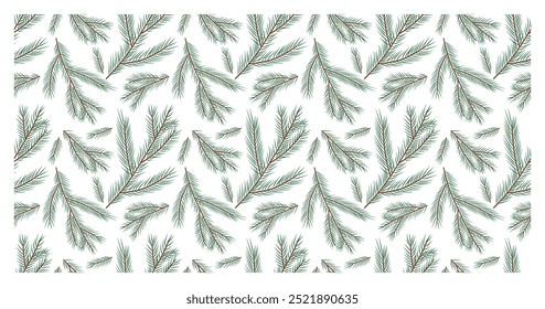 Seamless pattern of evergreen plants. Background with pine, spruce, cedar branch. Hand drawn vector illustration. New Year texture for print, wrapping paper, design, fabric, decor, gift.