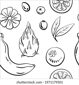 Seamless pattern with exotic fruits and berries in black line sketchy style isolated on white background. Doodle hand drawn vector illustration