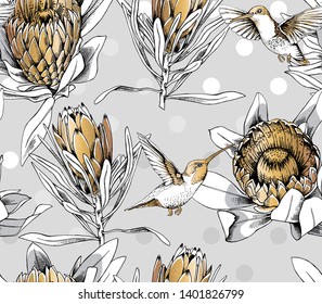 Seamless pattern. Exotic Protea Sugarbushes flowers and hummingbirds. Gold and silver composition on a gray background. Textile composition, hand drawn style print. Vector illustration.