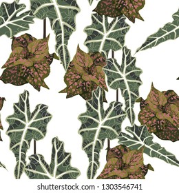 Seamless pattern with exotic tropical pink plant and exotic leaves. Tropical illustration. Jungle foliage. White background.