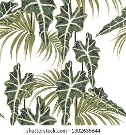 Patrón sin problemas con plantas tropicales exóticas, palmeras y hojas de plantas exóticas. Ilustración tropical. Follaje de jungla. Fondo blanco.