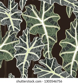 Seamless pattern with exotic tropical  plant leaves. Tropical illustration. Jungle foliage. Dark background.