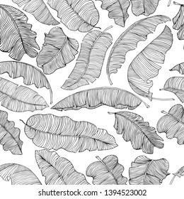 Seamless pattern of exotic, white banana leaves with a black outlines isolated on a transparent background. Decorative image with tropical foliage. Vector illustration.
