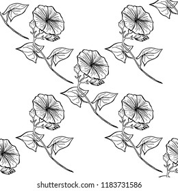 Seamless pattern for fabric, wrapping and wallpapers with hand drawn convolvulus flower. Morning glory flower repetition texture. Tribal, ethnic, natural floral background.