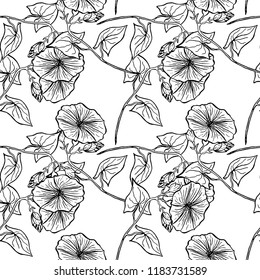 Seamless pattern for fabric, wrapping and wallpapers with hand drawn convolvulus flower. Morning glory flower repetition texture. Tribal, ethnic, natural floral background.