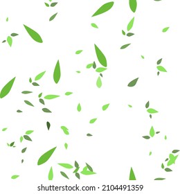 Seamless pattern with falling green leaves on a white background. Vegetable theme. The idea of a print for fabric, wallpaper, wrapper. Vector.