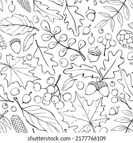 Seamless pattern falling leaves, acorns, berries, cones. Vector autumn texture isolated on white, hand drawn in doodle style, black outline. Concept of forest, leaf fall, nature, thanksgiving