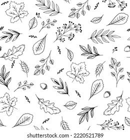 Motif harmonieux de feuilles tombant, glands, baies. Image vectorielle texture d'automne isolée sur fond blanc, illustration dessinée à la main, silhouette noire. Concept de forêt, chute de feuilles, nature, action de grâce