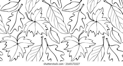 Seamless pattern falling leaves. Vector autumn texture isolated, outline, sketch style. Concept of forest, leaf fall, nature