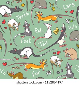 Seamless pattern with fancy rat. Domestic rodents background. Cute line art domestic animals. Vector illustration with coclorful rats