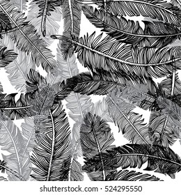 Seamless pattern of  feather in black and grey colors.