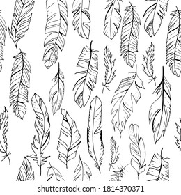 Seamless pattern with feathers. Endless texture for your design