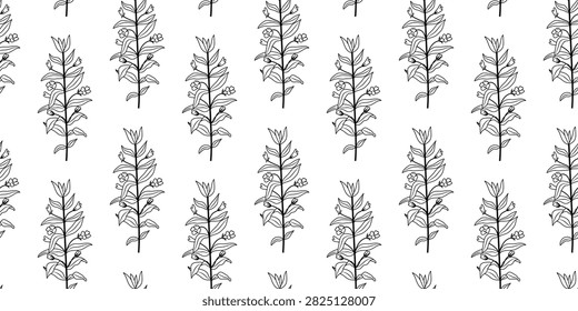 Seamless pattern featuring hand-drawn black and white hedge hyssop botanical branches in clean line art on a white background. Ideal for wallpaper, textiles, packaging, wrapping paper, stationery and minimalist botanical decor.