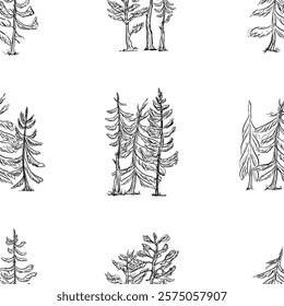 A Seamless Pattern featuring outline spruce and pine Trees, Black and White Forest Vector illustration