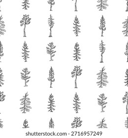 Un patrón sin fisuras con abetos y pinos de contorno, Ilustración vectorial del bosque blanco y negro