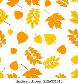 A seamless pattern featuring various autumn leaves in shades of orange and yellow on a white background. Vector illustration