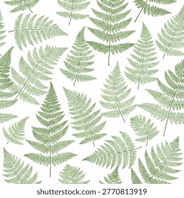 A seamless pattern featuring various shades of green fern leaves scattered across a clean white background, creating a fresh and natural botanical design.