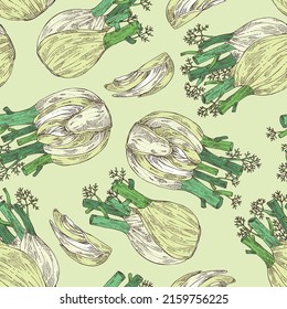 Seamless pattern with fennel: full fennel, piece and fennel root. Foeniculum vulgare. Vector hand drawn illustration. 