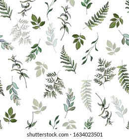 Seamless pattern of fern branches, eucalyptus, green leaves on white background. Hand drawn. For eco design, print,  wallpaper, wrapping paper. Vector stock illustration.