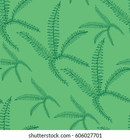 Seamless pattern of fern leaves