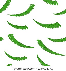 Seamless pattern with fern leaves. Botanical background. Vector colorful illustration.
