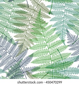 Seamless pattern with fern leaves. Botanical background. Vector colorful illustration.