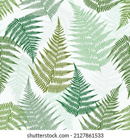 Seamless pattern with fern leaves. Classical grassy organic ornament. Different leaves on a light background. Vector print for design.