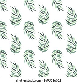 Seamless pattern of fern leaves, eucalyptus and branches of other plants. Set of plants. ECO background cartoon.