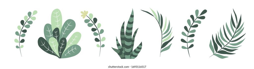 Seamless pattern of fern leaves, eucalyptus and branches of other plants. Set of plants. ECO background cartoon.