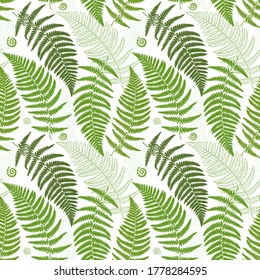 Seamless pattern with fern leaves. Exotic green plants