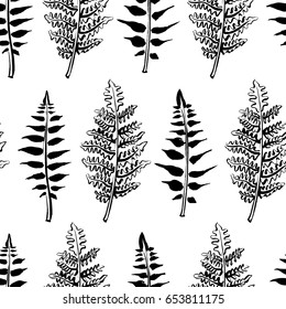 Seamless pattern with fern leaves/ Hand drawn field and forest plants background in sketchy style/ Vectorized ink illustration in black and white