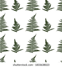 Seamless pattern with fern leaves isolated on white - natural background for textile design