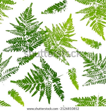 Similar – Image, Stock Photo Green fern background. Patterned green plant background